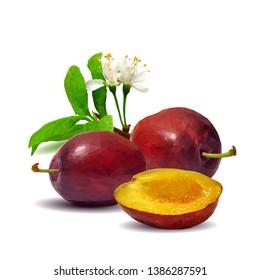 Plum low poly. Bloom of plum. Fresh, nutritious, tasty plum. Delicious and healthy dessert. Elements for label design. Vector illustration. Fruits ingredients in triangulation technique.  