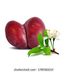 Plum low poly. Bloom of plum. Fresh, nutritious, tasty plum. Delicious and healthy dessert. Elements for label design. Vector illustration. Fruits ingredients in triangulation technique.  
