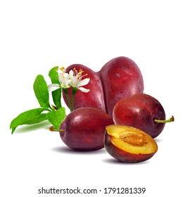 Plum low poly. Bloom of plum. Fresh, nutritious, tasty plum. Delicious and healthy dessert. Elements for label design. Vector illustration. Fruits ingredients in triangulation technique.  