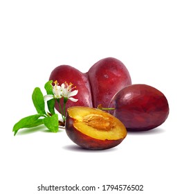 Plum low poly. Bloom of plum. Fresh, nutritious, tasty plum. Delicious and healthy dessert. Elements for label design. Vector illustration. Fruits ingredients in triangulation technique.  