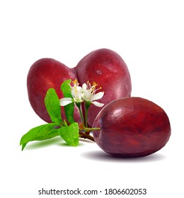 Plum low poly. Bloom of plum. Fresh, nutritious, tasty plum. Delicious and healthy dessert. Elements for label design. Vector illustration. Fruits ingredients in triangulation technique.  