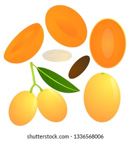 Plum mango vector illustration set. Whole, sliced and halved Plum mango graphics. 