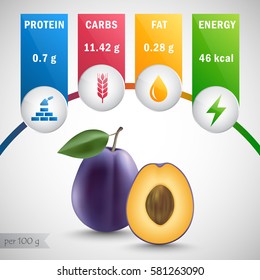 Plum nutrients vector. Protein, carbs, fat, energy