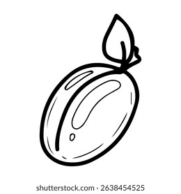 Plum on a branch with a leaf. Hand drawn doodle vector. Summer sweet tree fruit. Seasonal vitamins. Fresh organic food. Berry with a stone inside the pulp. Illustration line art element.