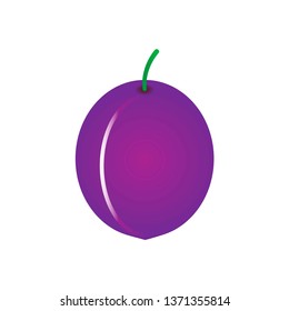 Plum on isolated background