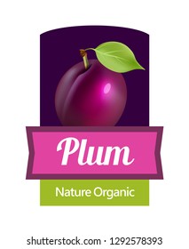 Plum on label, vector Sticker for Jam or Wine in juicy colorful design.