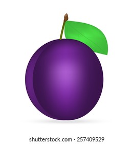 Plum on a white background