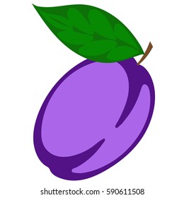 plum on white background