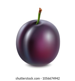 Plum on a white background. 3d vector realistic