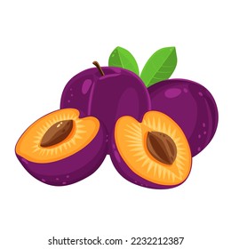 Ciruela sobre un fondo blanco aislado. Vector eps 10. perfecto para elementos de papel o diseño