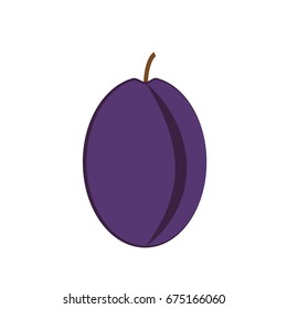 Plum on white background. Vector