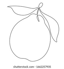 Plum one continuous line. Vector illustration. - Shutterstock ID 1662257935