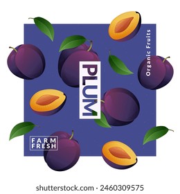 Plantillas de diseño de envases de ciruela. Ilustración vectorial de estilo moderno.