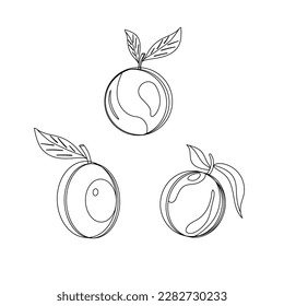 Plum, peach. Vector set. Lines, contour. Emblem