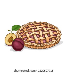 Plum pie recipe, cake recipe, hand drawn illustration