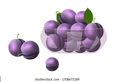 Plum. Plums in glass bowl isolated on white background. Beautiful juicy berries in deep dish plate. Heap of ripe plums. Kitchenware or food design element. Bountiful harvest. Stock vector illustration