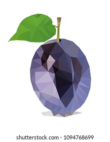 Plum polygonal vector illustration isolated