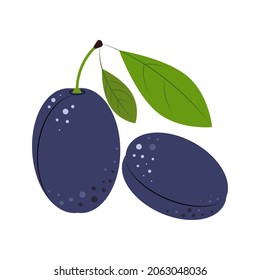 Plum. Ripe juicy Berries with Green Leaves. Plum for jam and dessert. Flat style Vector Illustration.