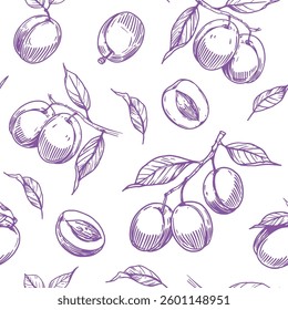 Ciruela sin patrón, ilustraciones realistas del bosquejo, frutas dibujadas a mano, monocromo