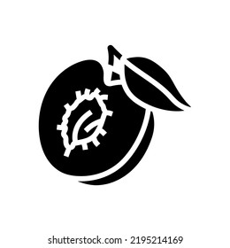 plum seed cut leaf glyph icon vector. plum seed cut leaf sign. isolated symbol illustration