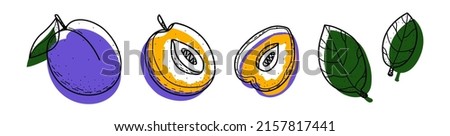 Plum set. Abstract modern set of plum icons, whole and sliced, isolated on a white background. For Internet, printing, product design, logo. Line, contour. Vector hand-drawn flat illustration.