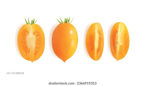 Conjunto de tomate en forma de ciruela. Colección de tomate amarillo. Tomates vectoriales fotorealistas sobre un fondo aislado.