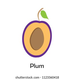 Plum slice in cartoon style, card with fruit for kid, preschool activity for children, vector illustration