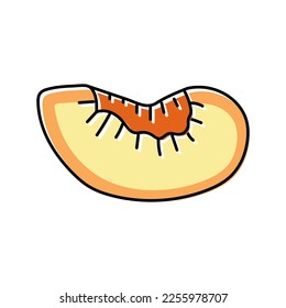 plum slice fruit color icon vector. plum slice fruit sign. isolated symbol illustration