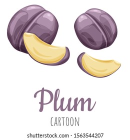 Plum slices fruit isolated close-up illustration, cartoon colorful clip-art.