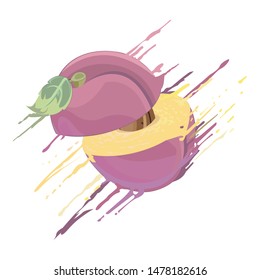 Plum splash - vector illustration 