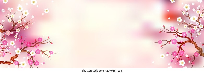 Plum spring landscape flower background 