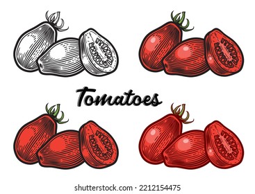 Tomates ciruelas, ovales, tipo de tomates en forma de ciruela. Ilustración vectorial dibujada a mano, estilo de grabado. Versión en blanco y negro, y versiones con diferentes estilos de color, aisladas en fondo blanco.