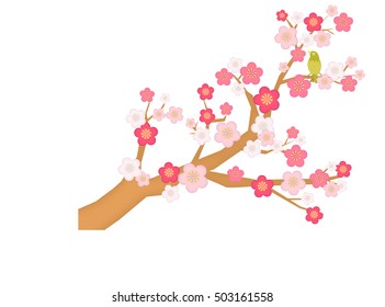 Plum tree