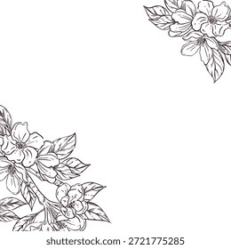Dibujo del arte de la línea del Vector del marco de la esquina de la flor del árbol de ciruelo. Arreglo floral para invitación de boda, tarjeta de felicitación o diseño de primavera. Ilustración vectorial.