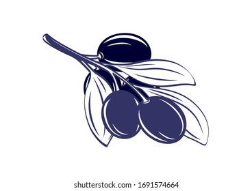 Plum tree branch leaves isolated outline vector illustration white background