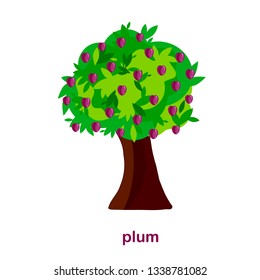 Plum tree. Design element flat style object isolated stock vector illustration for web, for print