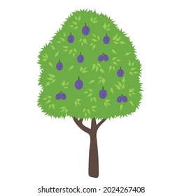 Plum tree. Green fruit tree flat cartoon. Simple colorful organic garden symbol. Isolated vector illustrations.