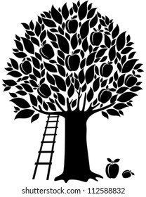Plum tree isolated on White background. Vector illustration