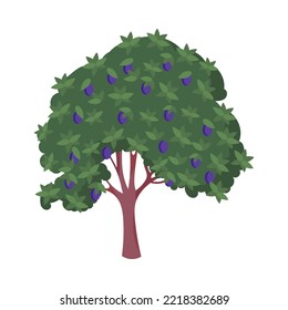 Plum tree with ripe fruits cartoon illustration. Garden or orchard plant during fruit ripening isolated on white background. Nature, food concept
