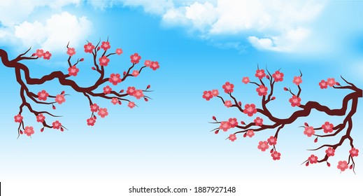 Plum tree spring flower background