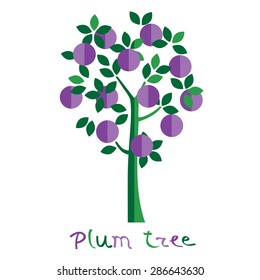 Plum Tree Vector Illustration. Plum Fruit.