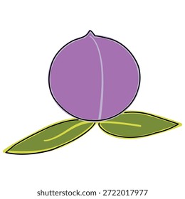 plum with two leaves isolated on white background