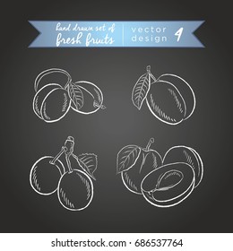 Plum. Vector hand drawn collection of sketch fresh fruits illustration on chalkboard.