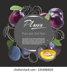 plum vector hand drawn healthy food illustration. Fruit design with sketch elements for banner, greeting card	