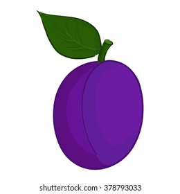 Plum. Vector illustration isolated on white and black background.
