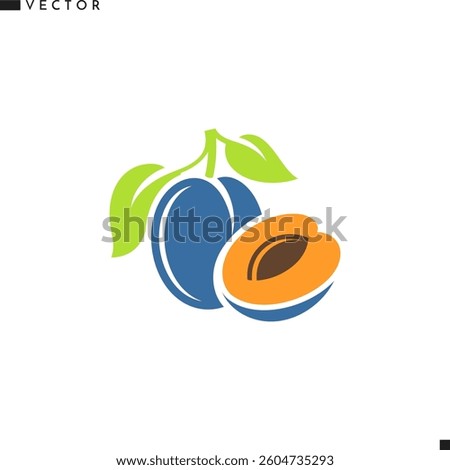Plum vector illustration. Isolated prune. Natural food. Organic fruit. Vegan food logo. Vector illustration EPS
