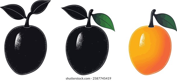 Plum Vector Illustration Set, Black and White and Color Versions