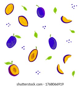Plum vector illustration set. Purple plum hand drawn collection, design template. Damsons blue plum cut with drupe, whole, half, leaves