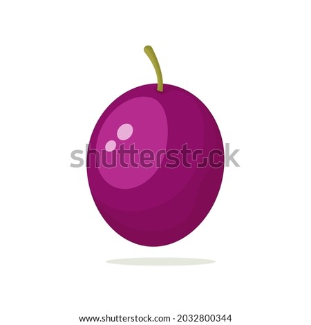 Plum vector isolated on a white background. plum vector illustration.