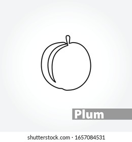 plum vector line icon on white background